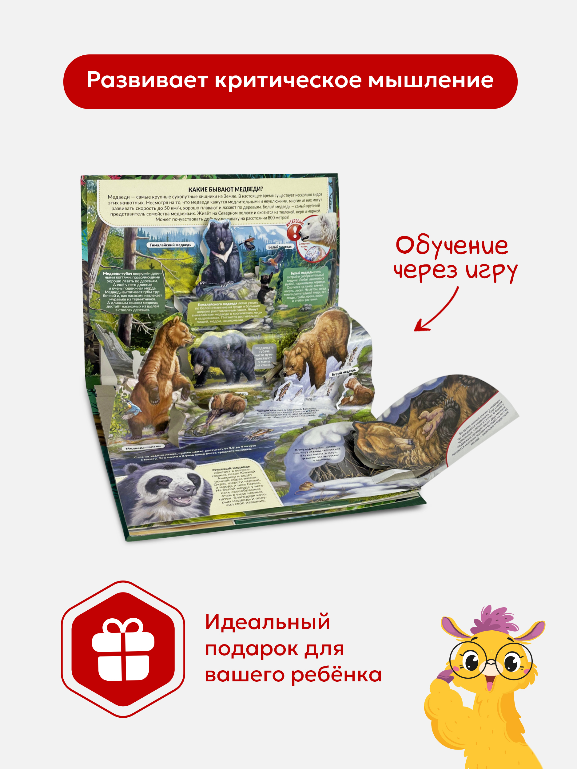 Энциклопедия с объемными картинками Malamalama Животные Хищники - фото 2