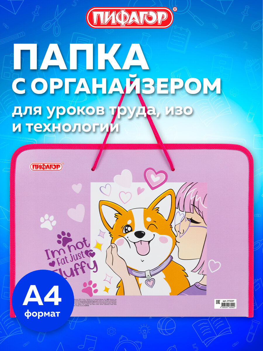 Папка для тетрадей Пифагор А4 - фото 1