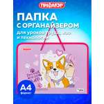 Папка для тетрадей Пифагор А4