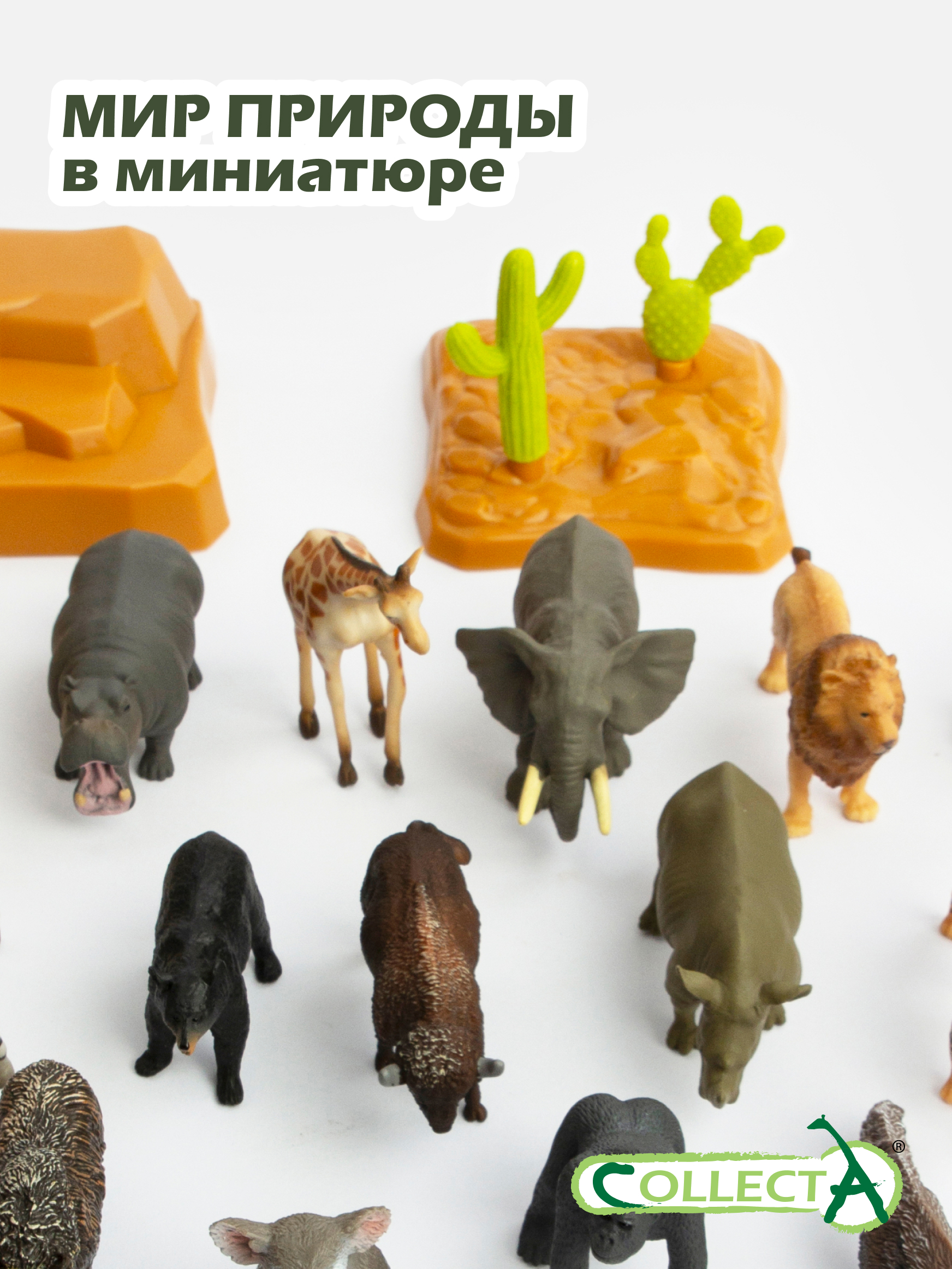 Игровой набор Collecta Дикие животные 24шт 30см - фото 8