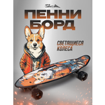Пенни борд Saimaa 58 см
