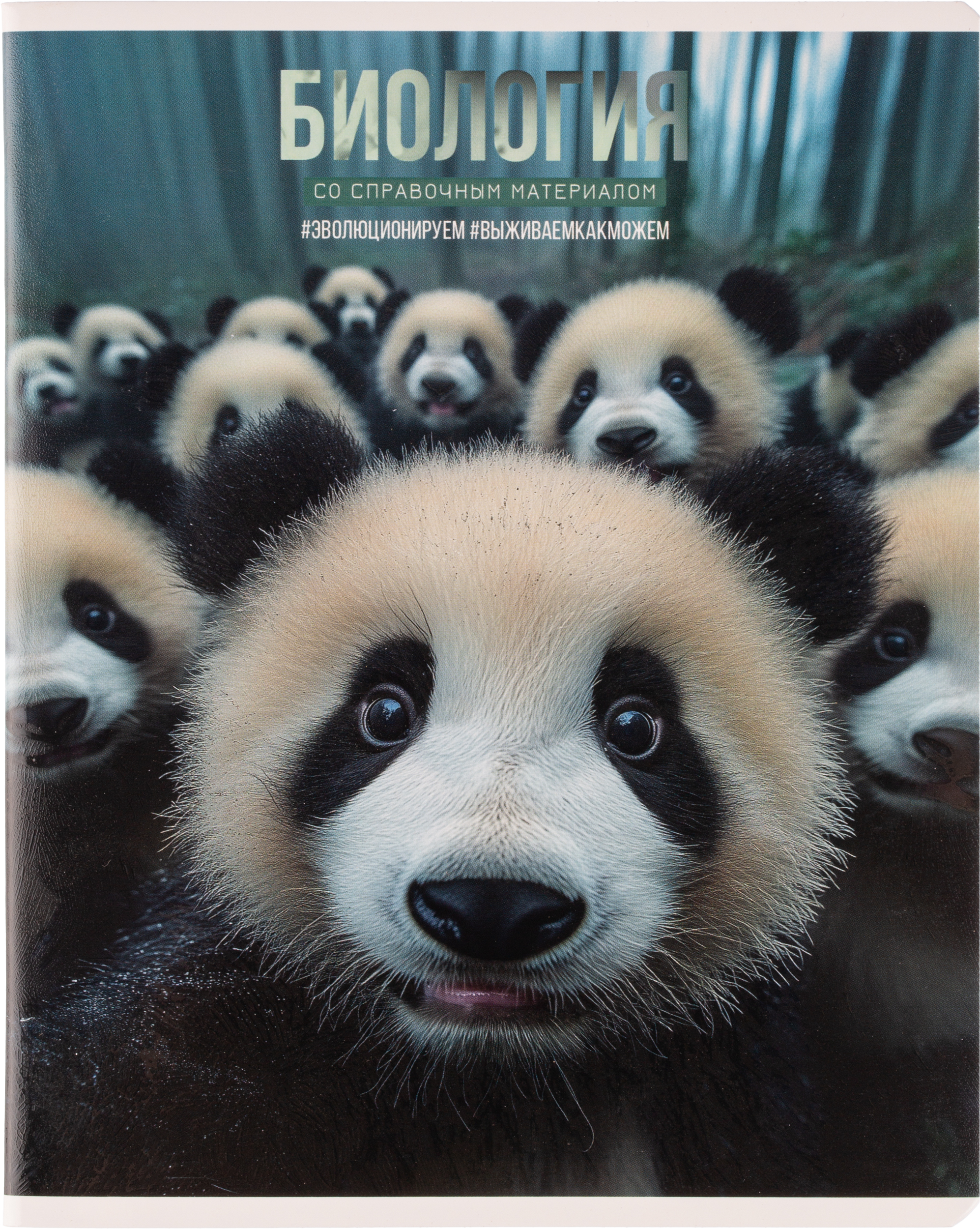 Тетрадь Комус клетка - фото 39