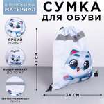 Мешок для обуви ArtFox Котик