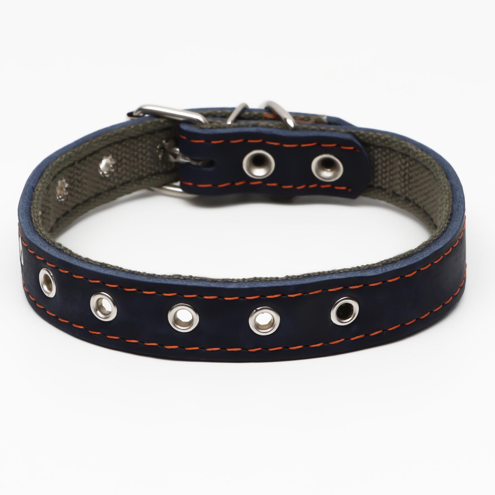 Ошейник Пижон кожа/брезент безразмерный 54 х 2.5 см синий - фото 1