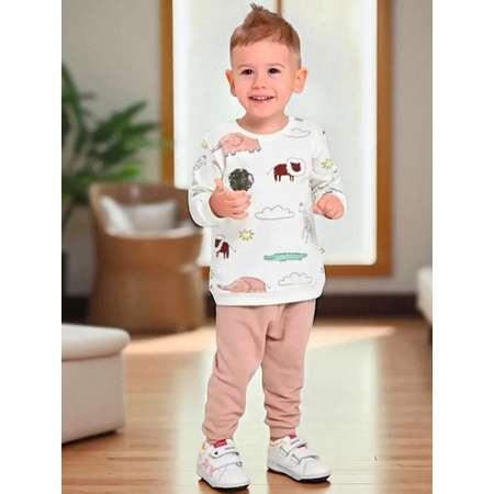 Свитшот и брюки Deiko Baby