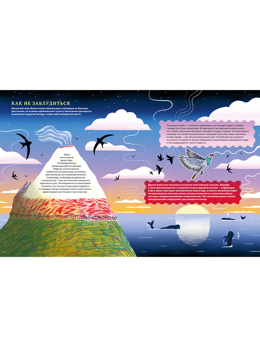 Книга Альпина. Дети Невероятные странствия животных - фото 3