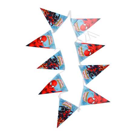 Гирлянды Decorata Party