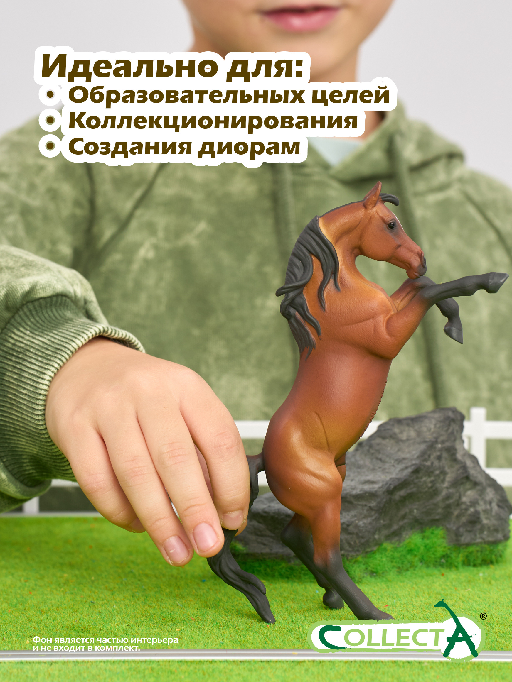 Фигурка Collecta Арабский гнедой жеребец - фото 6