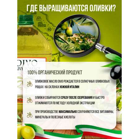 Масло оливковое DIVO Extra Virgin с ароматом базилика 0.25л