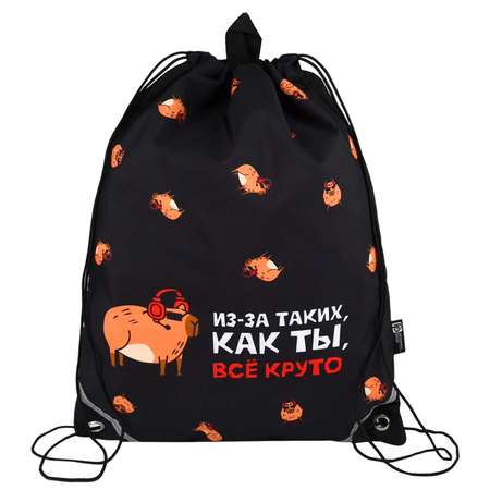 Мешок для обуви Феникс + Капибара