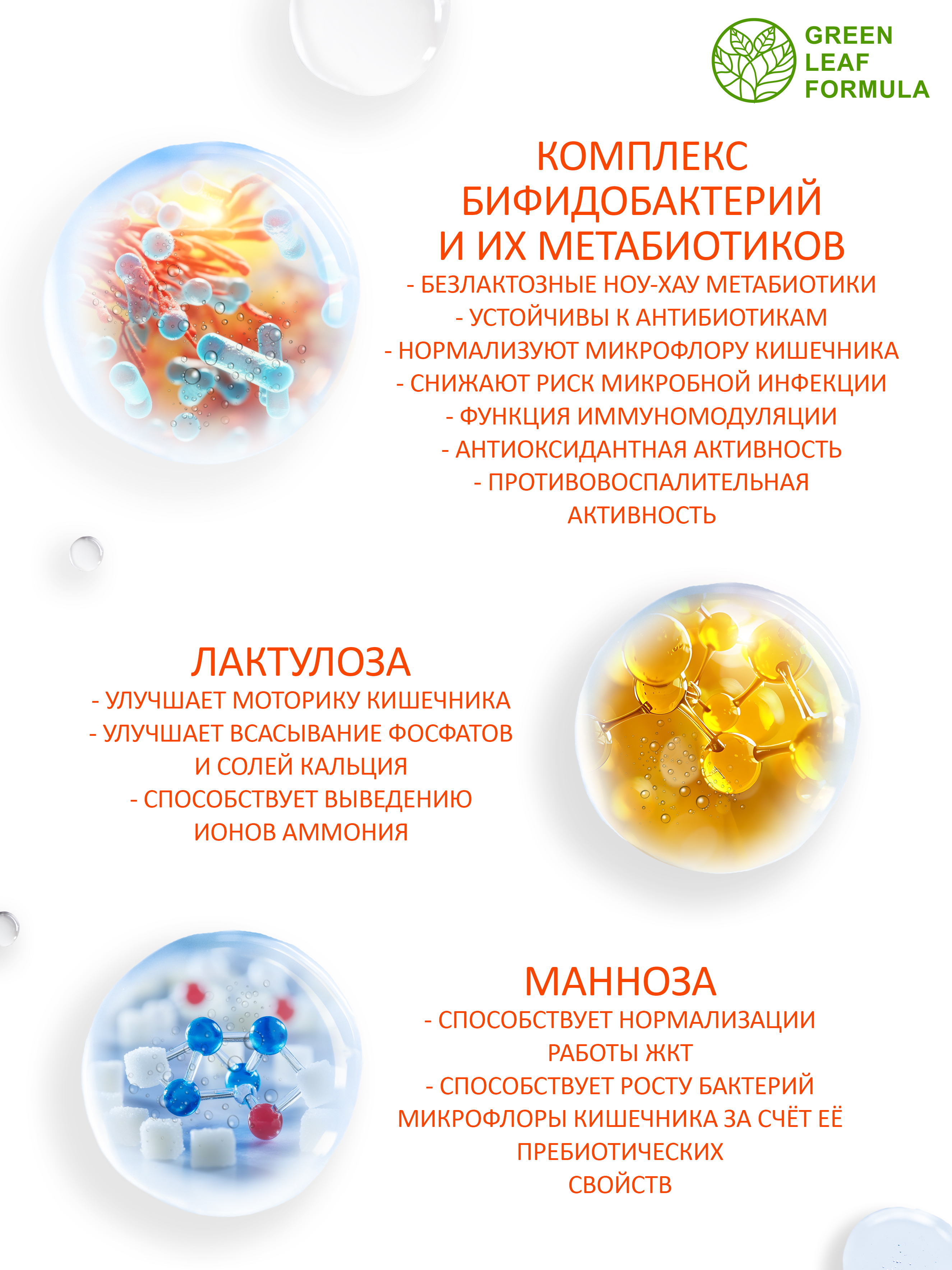 Комплекс бифидобактерий Green Leaf Formula метабиотик для кишечника от кандидоза - фото 5