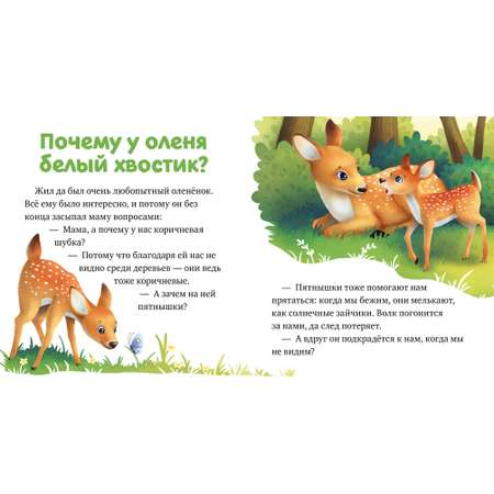 Книга Clever Издательство Любознательный малыш. Лесные малыши