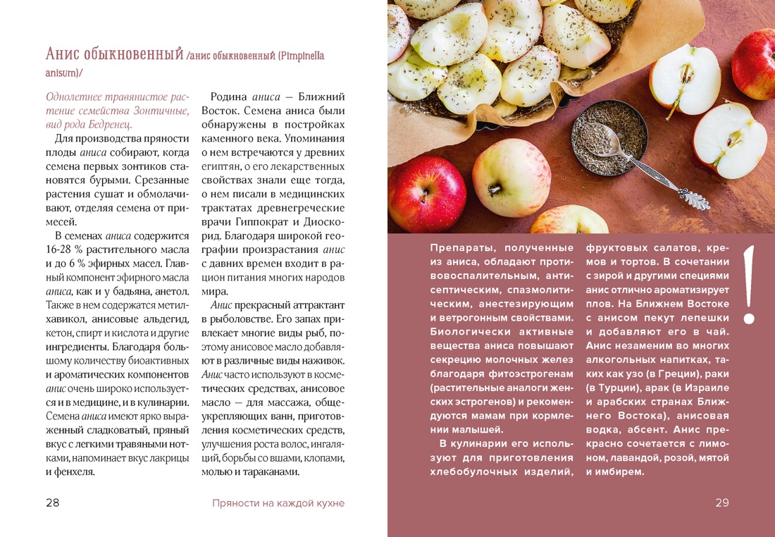 Книга КОЛИБРИ Дараган Сущова М Праздник как по нотам Специи и пряности Высокая кухня - фото 12