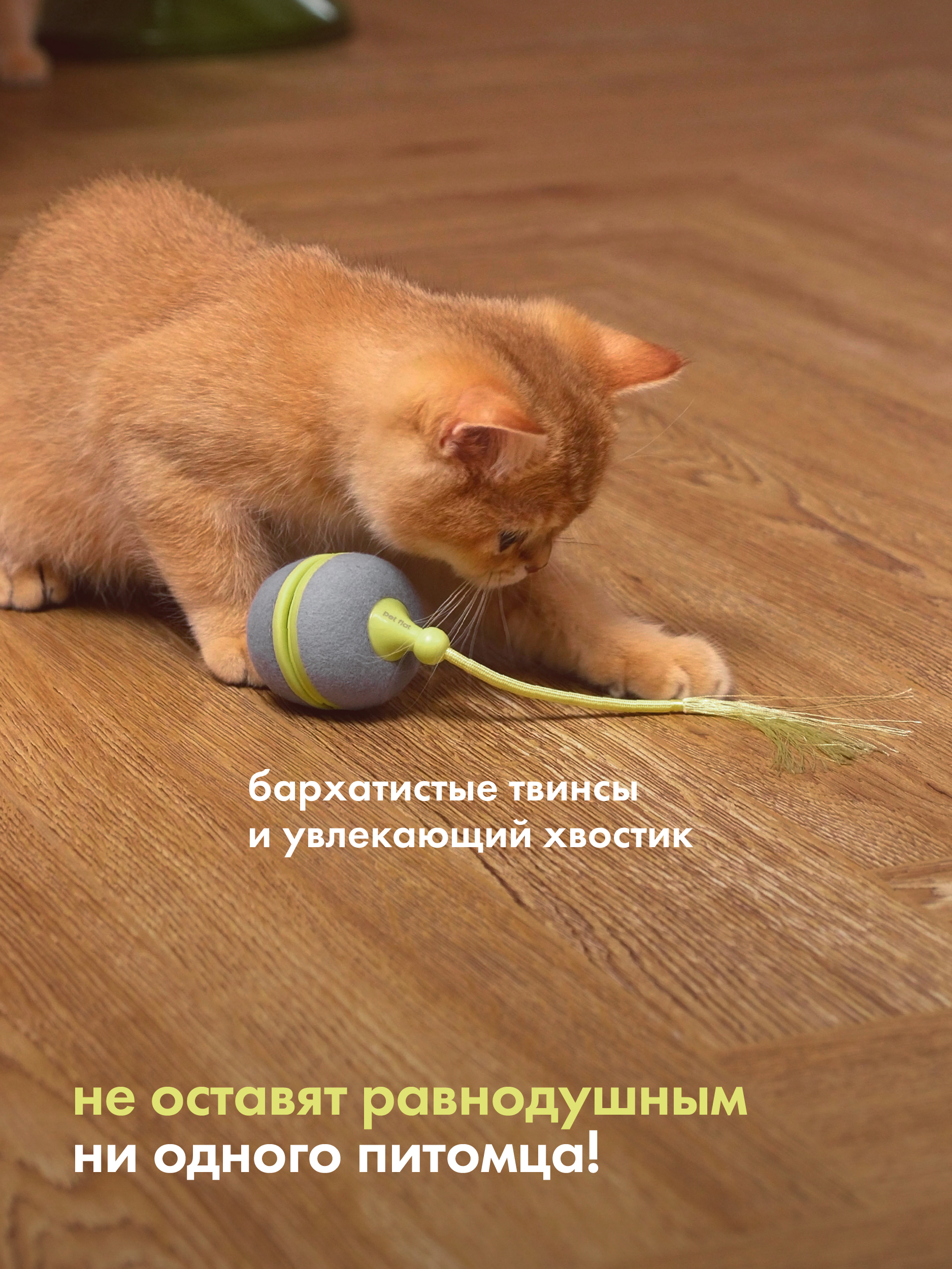 Интерактивная игрушка для кошек Pet Flat Умная дразнилка - фото 6