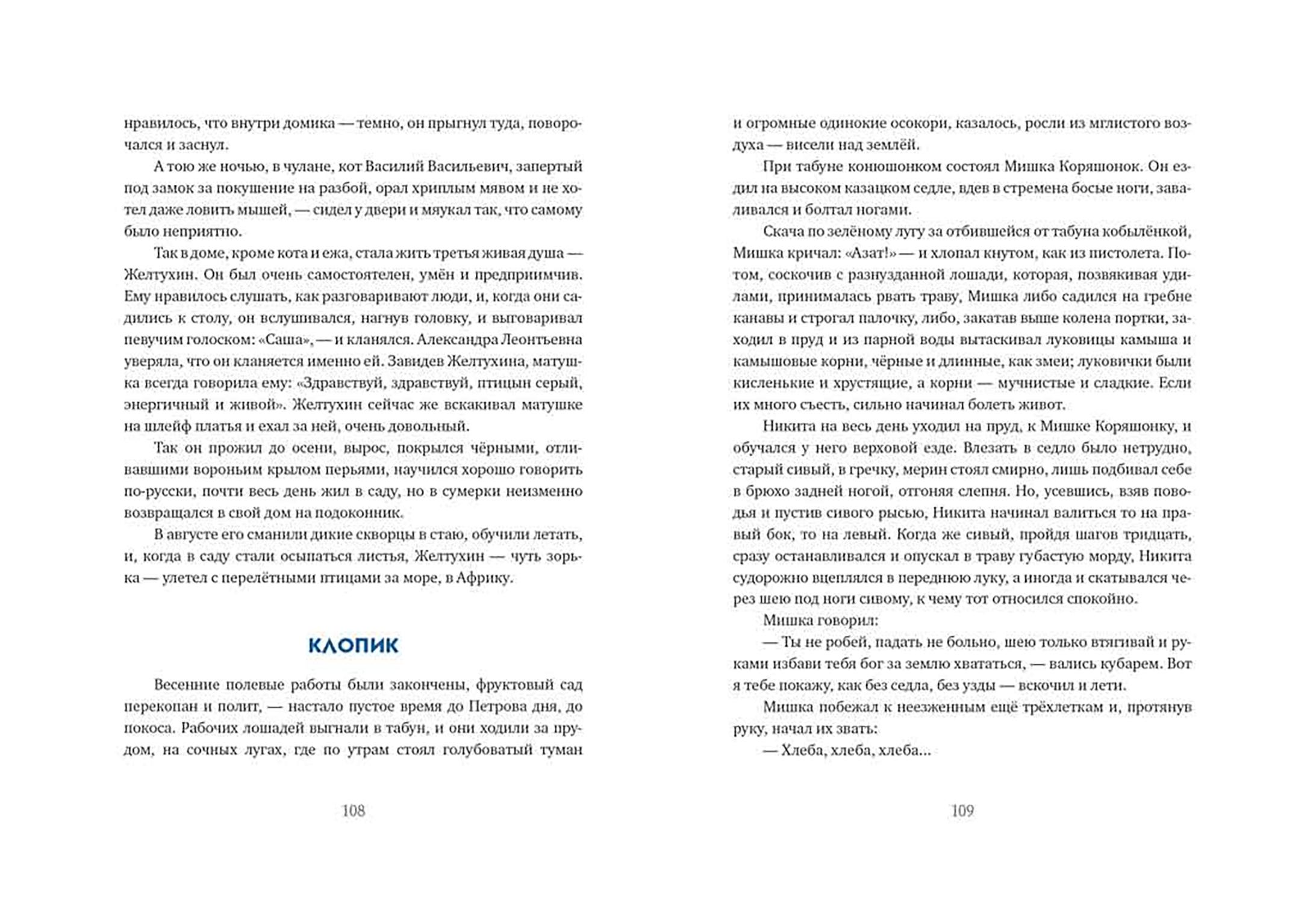 Книга Стрекозa Детство Никиты - фото 8