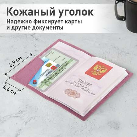 Обложка на документы Brauberg
