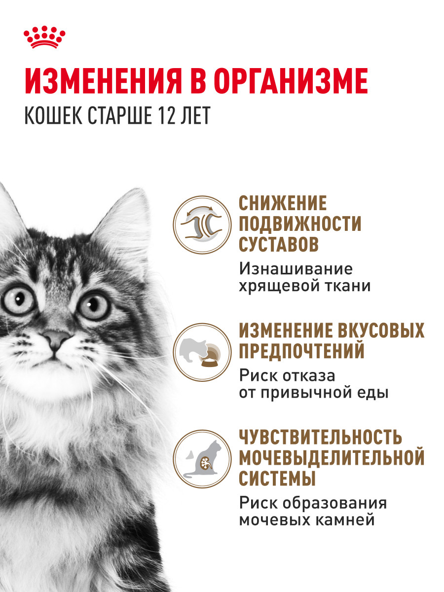 Корм для кошек ROYAL CANIN Ageing 85гр для пожилых 12+ в соусе пауч - фото 2