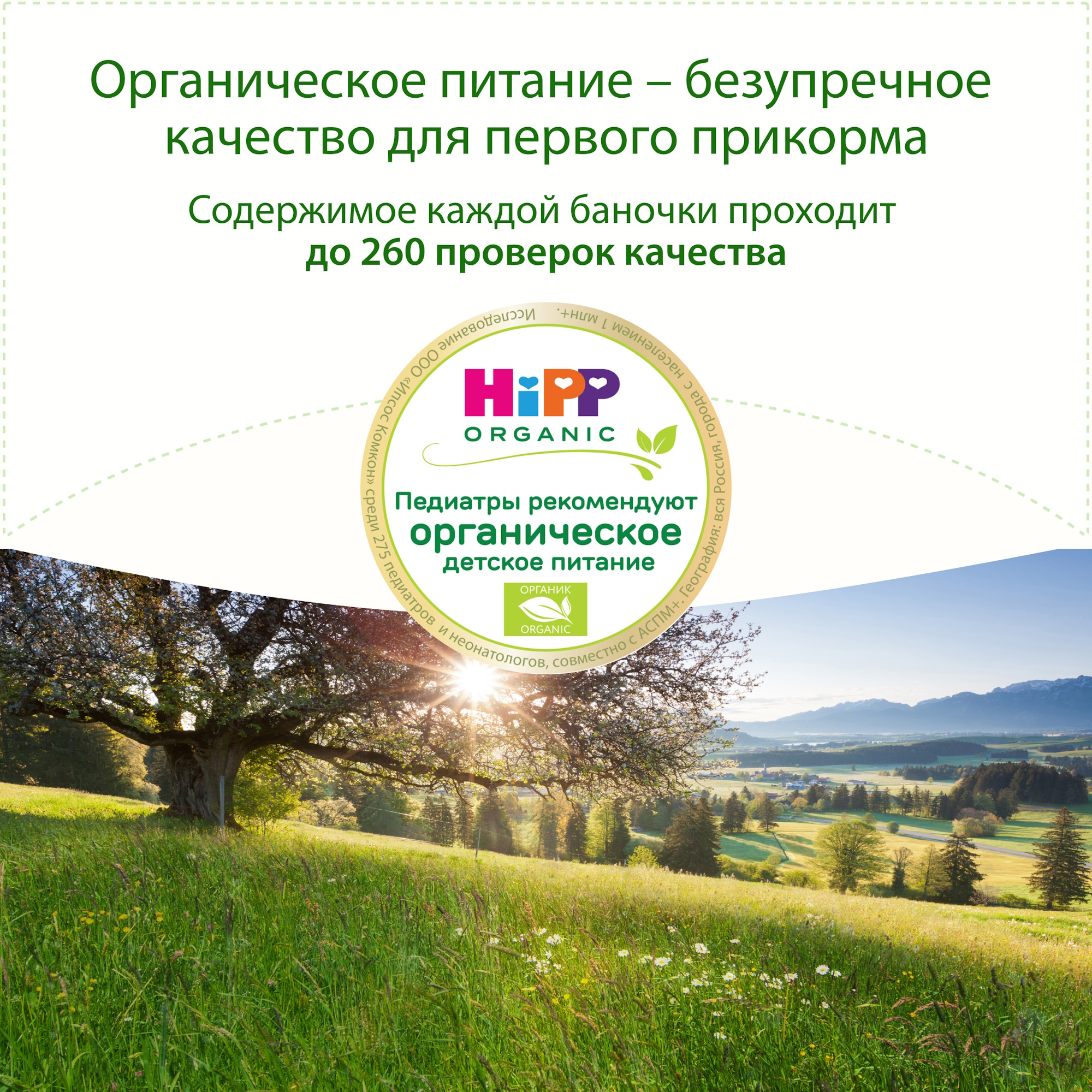 Готовый обед Hipp Овощи с лапшой в сливочном соусе с 8 мес 190 г - фото 3