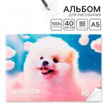 Альбом ArtFox STUDY