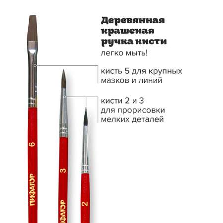 Кисть Пифагор 3 шт. (пони)