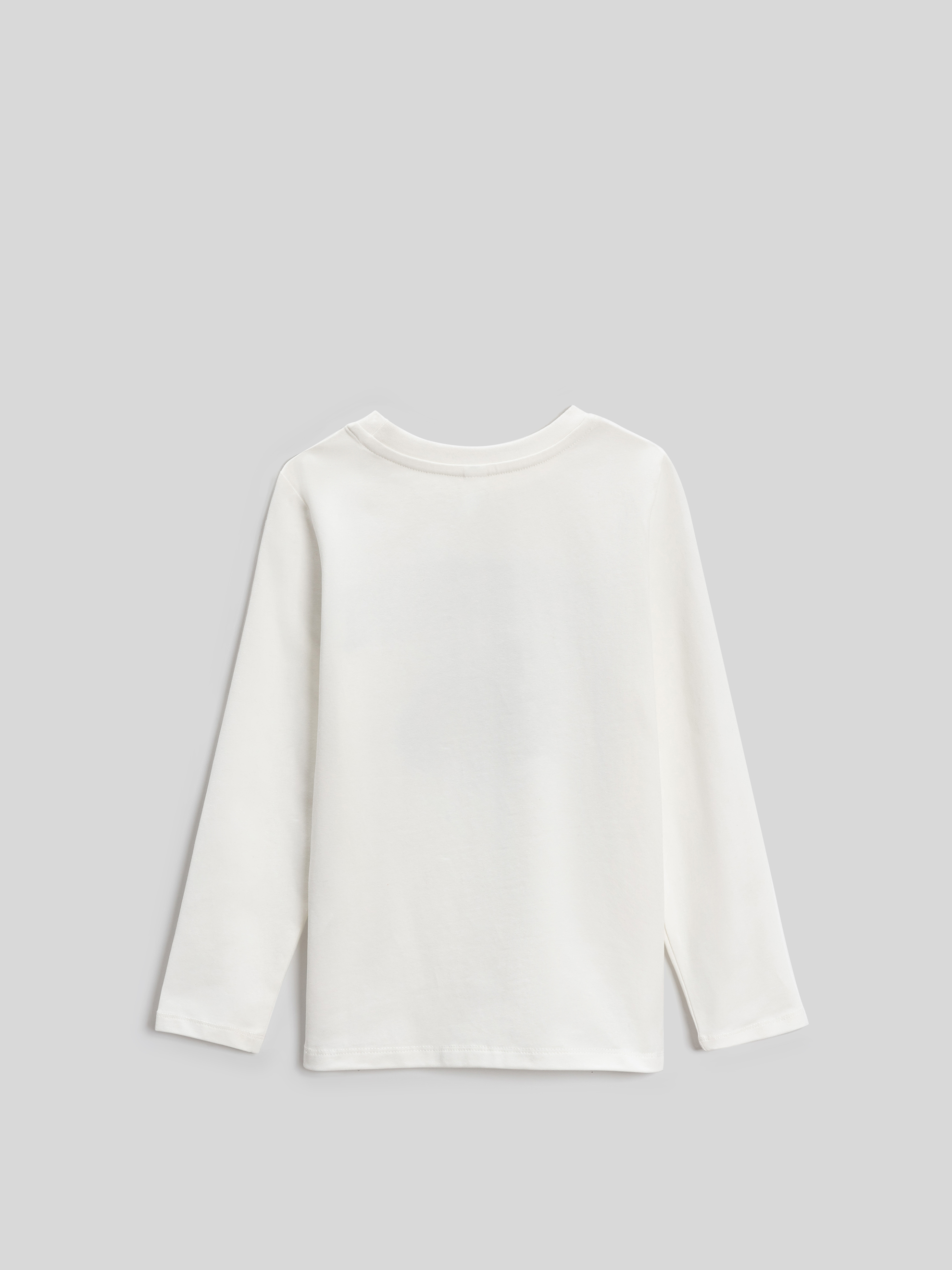 Лонгслив Acoola 20120150135_0092475 - фото 6