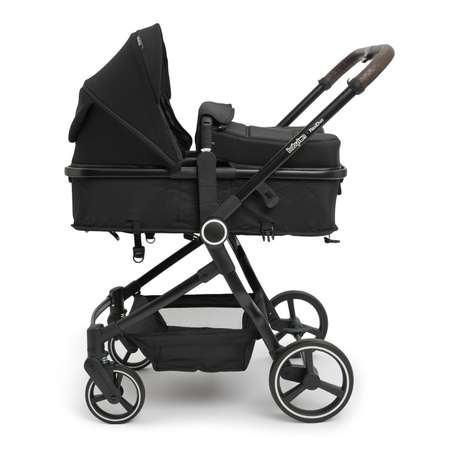 Коляска прогулочная Babyton Flexi Duo