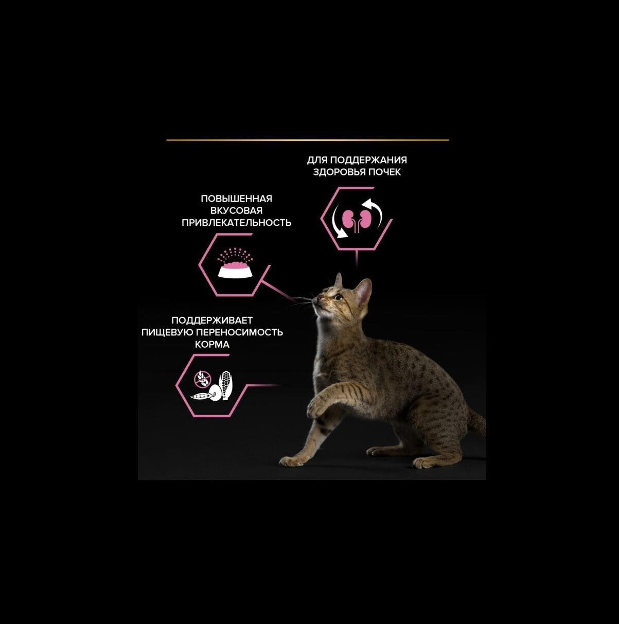 Сухой корм PRO PLAN OptiDigest Delicate Adult - фото 5