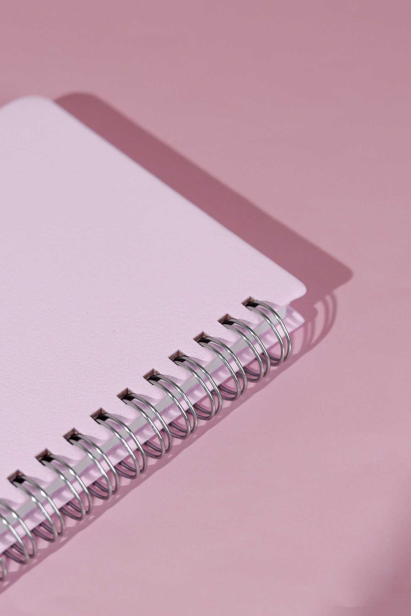 Ежедневник Феникс + ESCALADA 68 лист. - фото 12