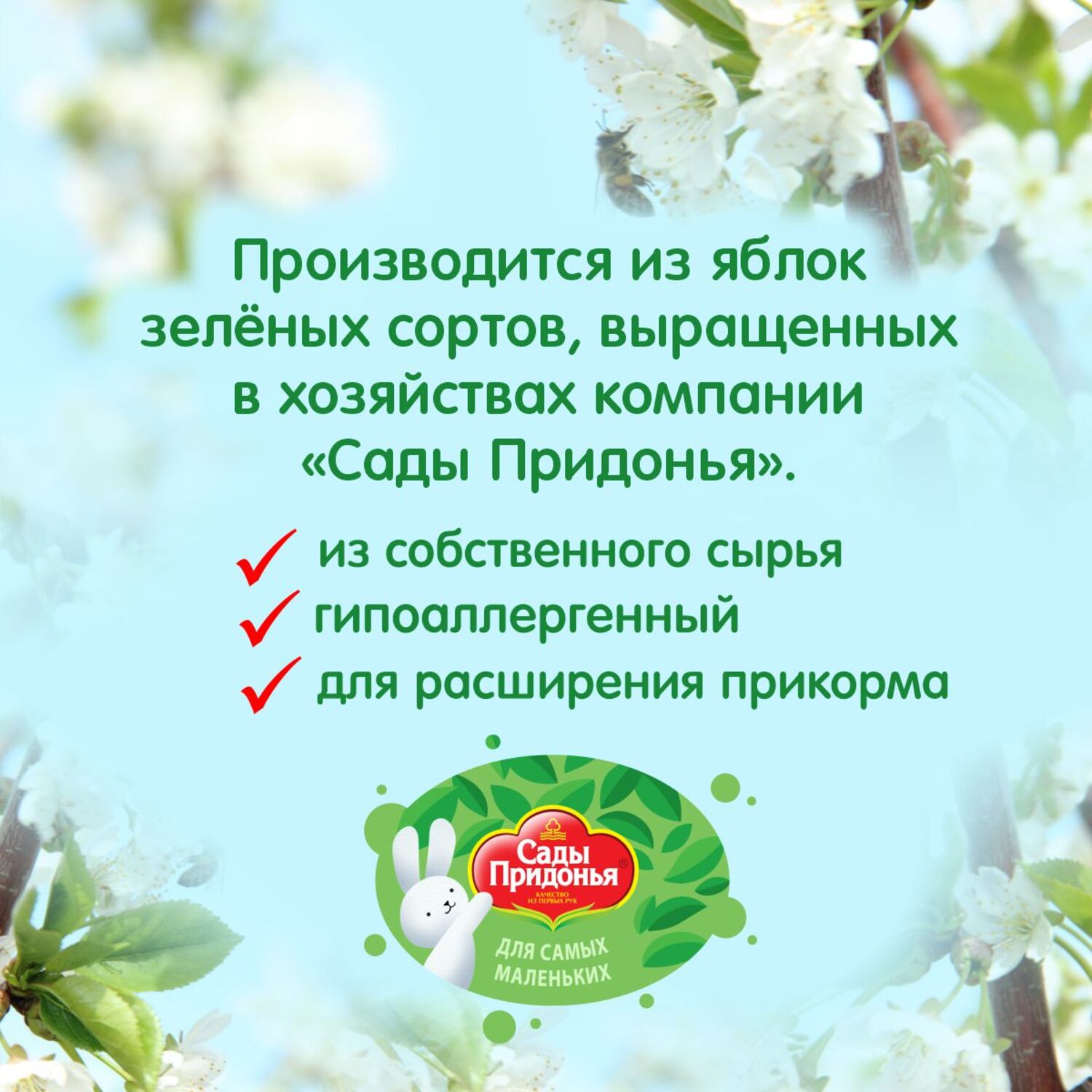 Сок Сады Придонья Яблоко-Ежевика с 6 мес 0.125 л - фото 4