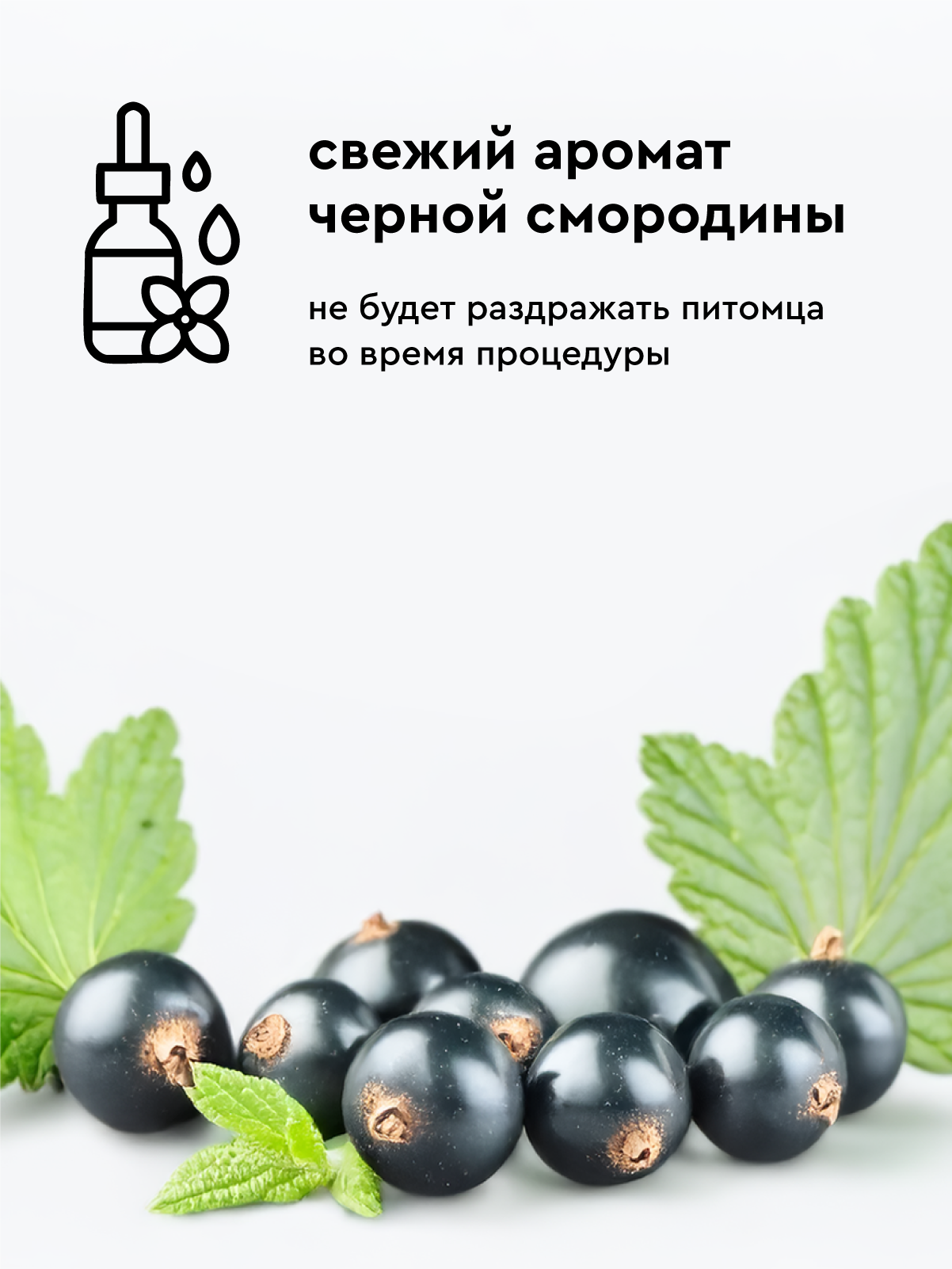 Спрей - кондиционер Pamilee от колтунов для собак и кошек 250мл - фото 6