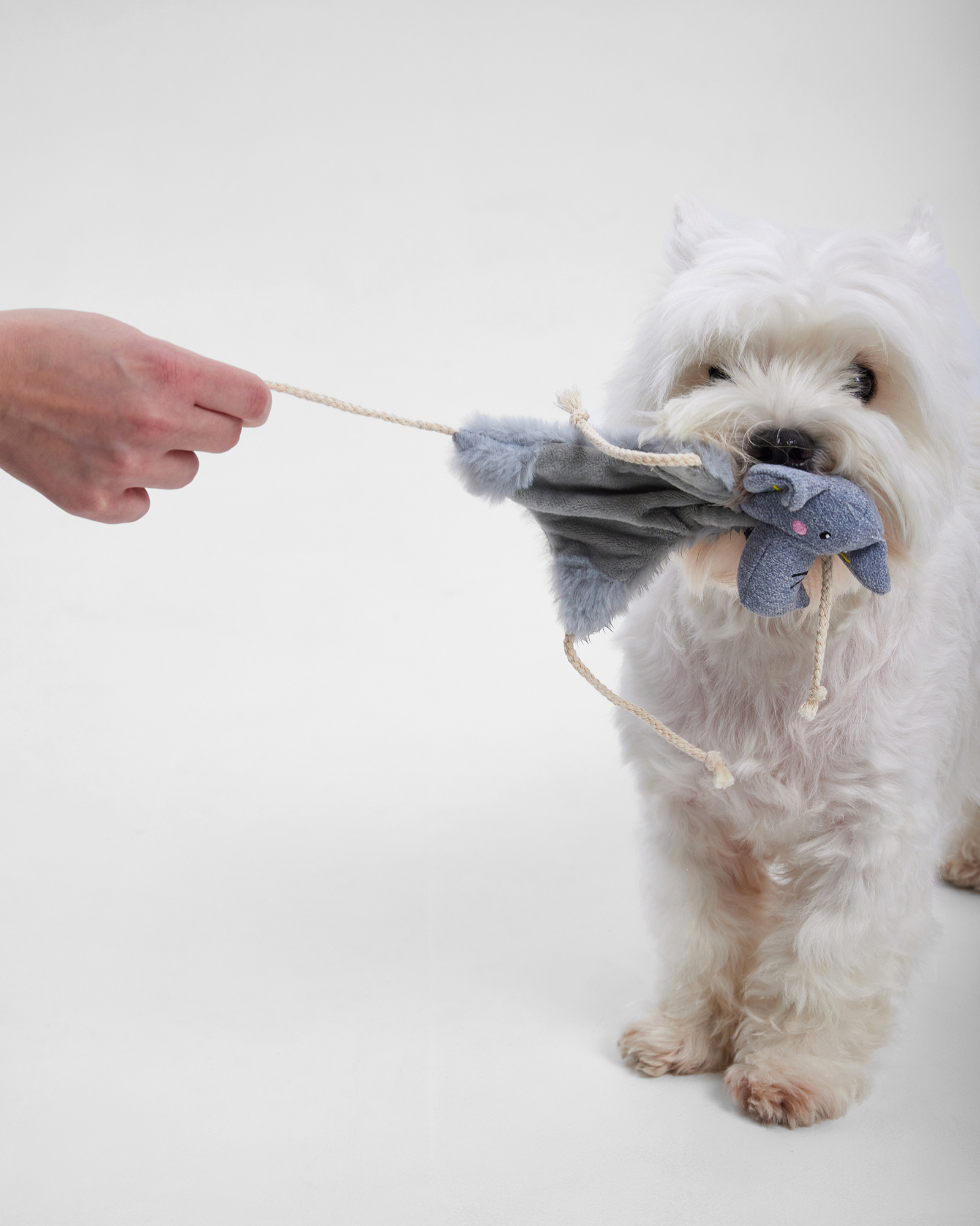 Игрушка для собак Barbaks Слонёнок плоский с канатиком шуршит 33*26.5 см - фото 4