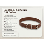 Ошейник Пижон из термопластичной резины Косточки