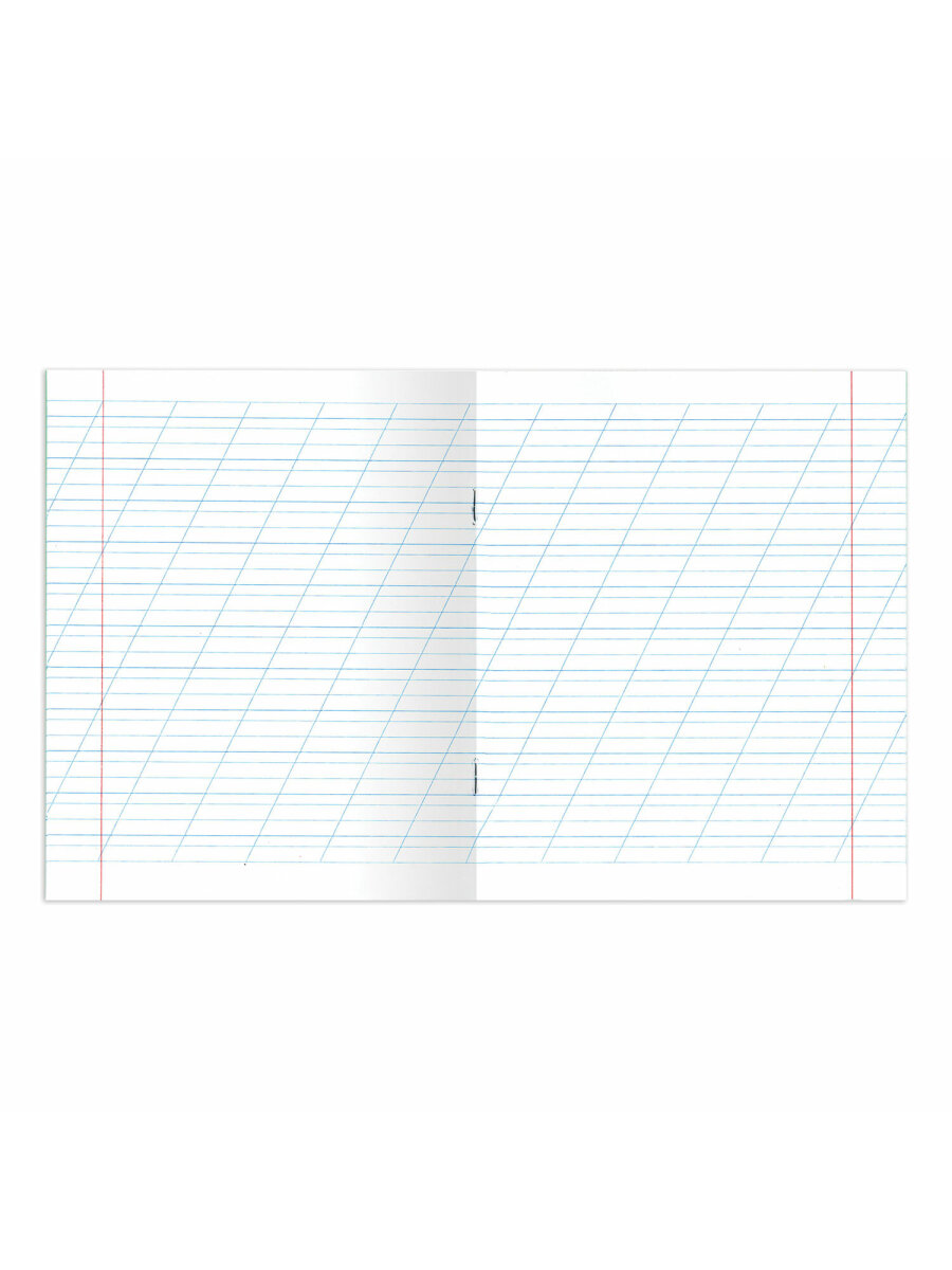 Тетрадь Brauberg косая линейка 12 лист. 20 шт. - фото 4