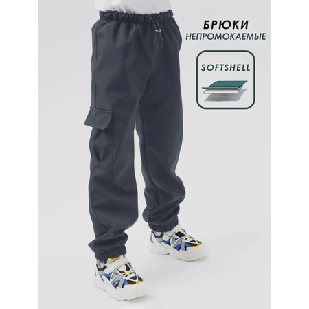 Брюки Lemonwear