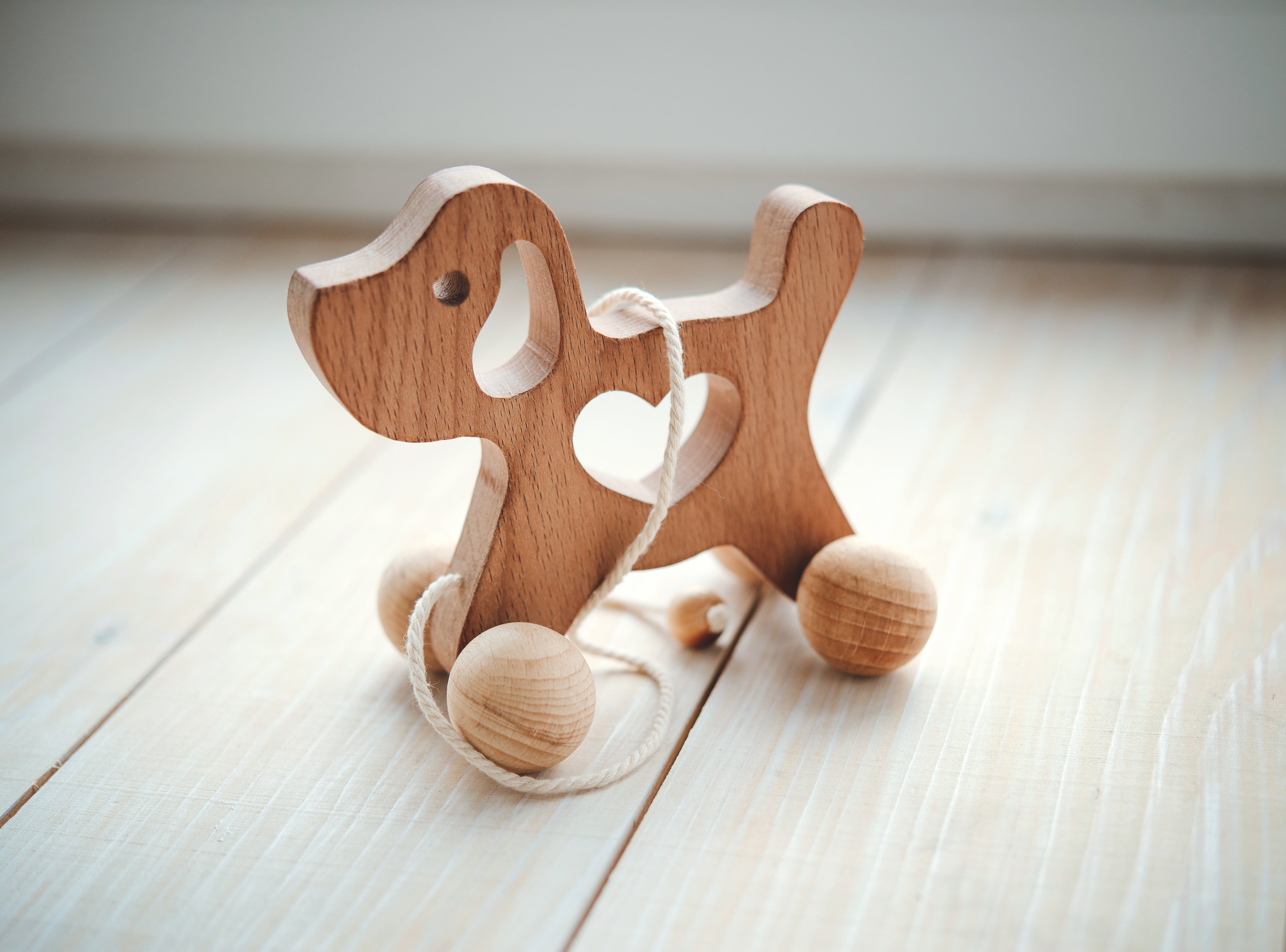 Собака Леснушки - фото 2