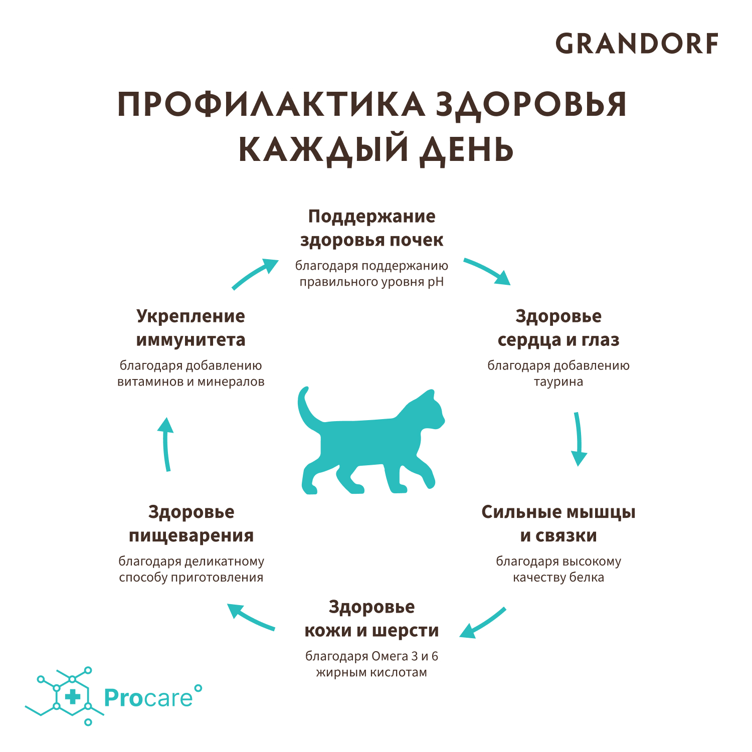 Корм для котят Grandorf 2кг ягненок с индейкой - фото 8
