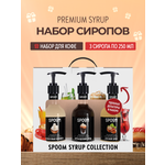 Набор сиропов SPOOM Кокосовая конфета Ирландский крем Лесной орех 3шт по 250мл+3 дозатора