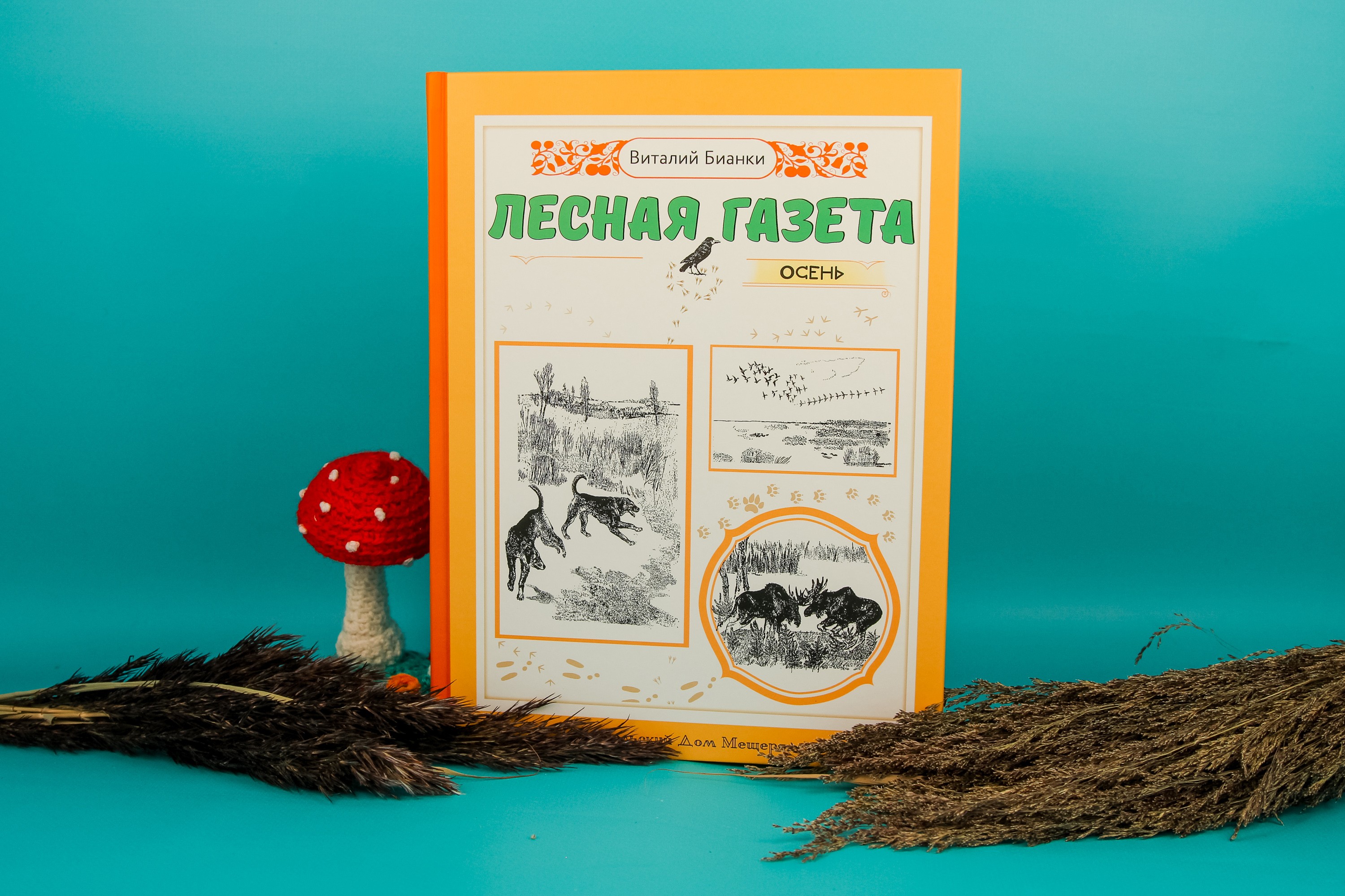 Книга Стрекозa Лесная газета Осень - фото 10
