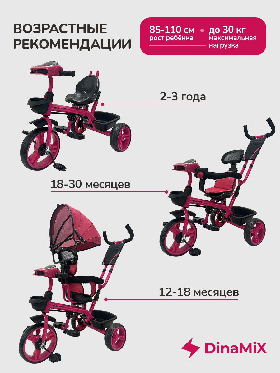 Трехколесный велосипед DinaMiX 10 дюймов - фото 3