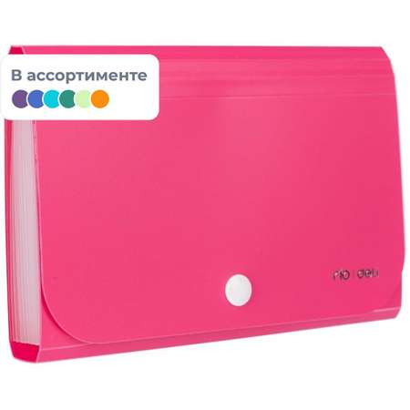 Папка-органайзер Deli А6 в ассортименте