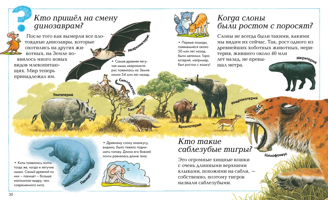 Книга Махаон Отчего и почему Где что и когда Комплект из 2 х энциклопедий - фото 11
