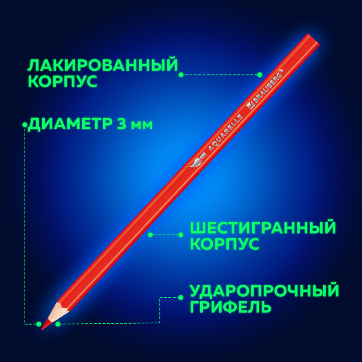 Карандаши акварельные Brauberg 12 шт. - фото 5