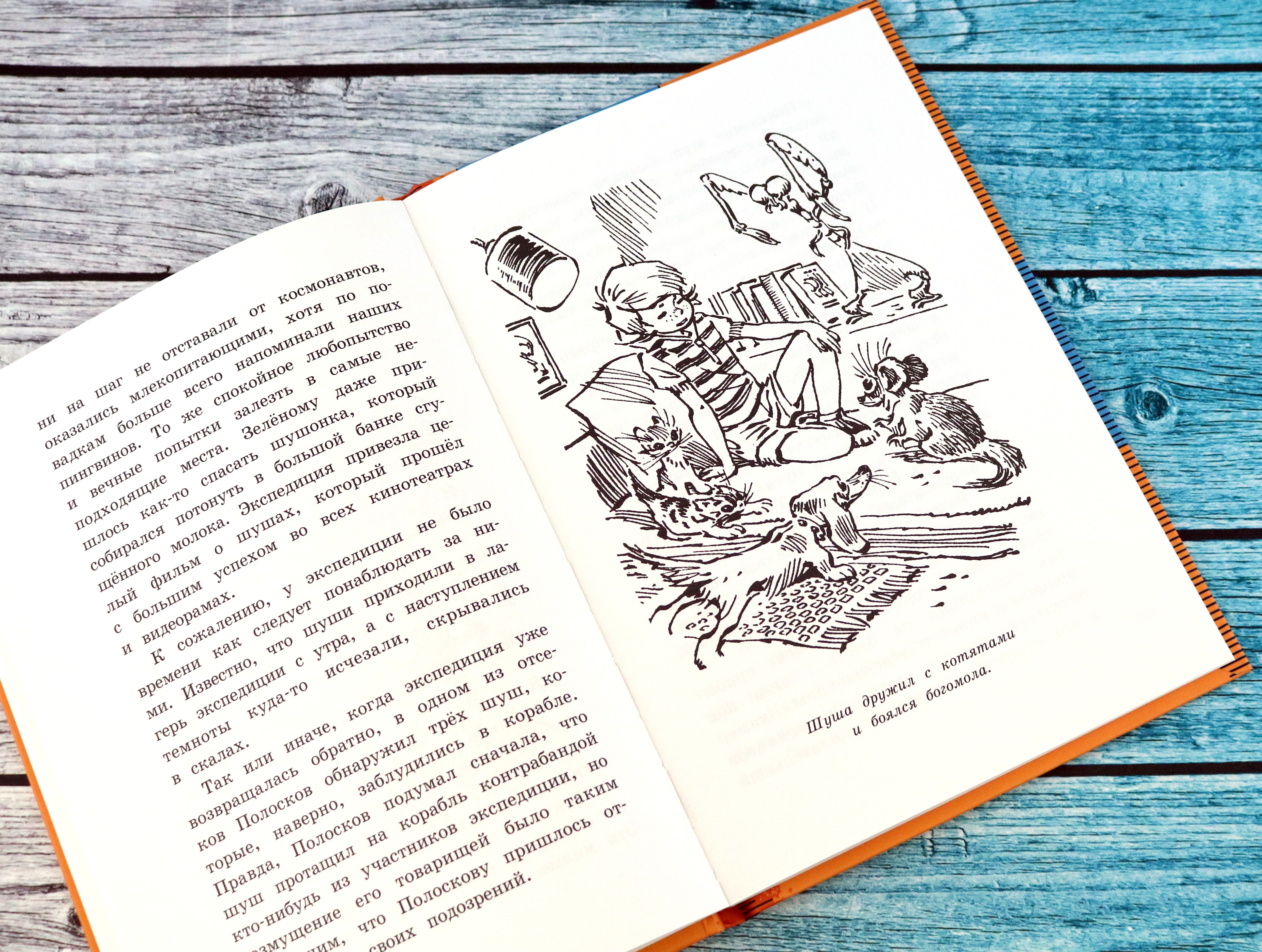 Книга Лабиринт Девочка, с которой ничего не случится - фото 3