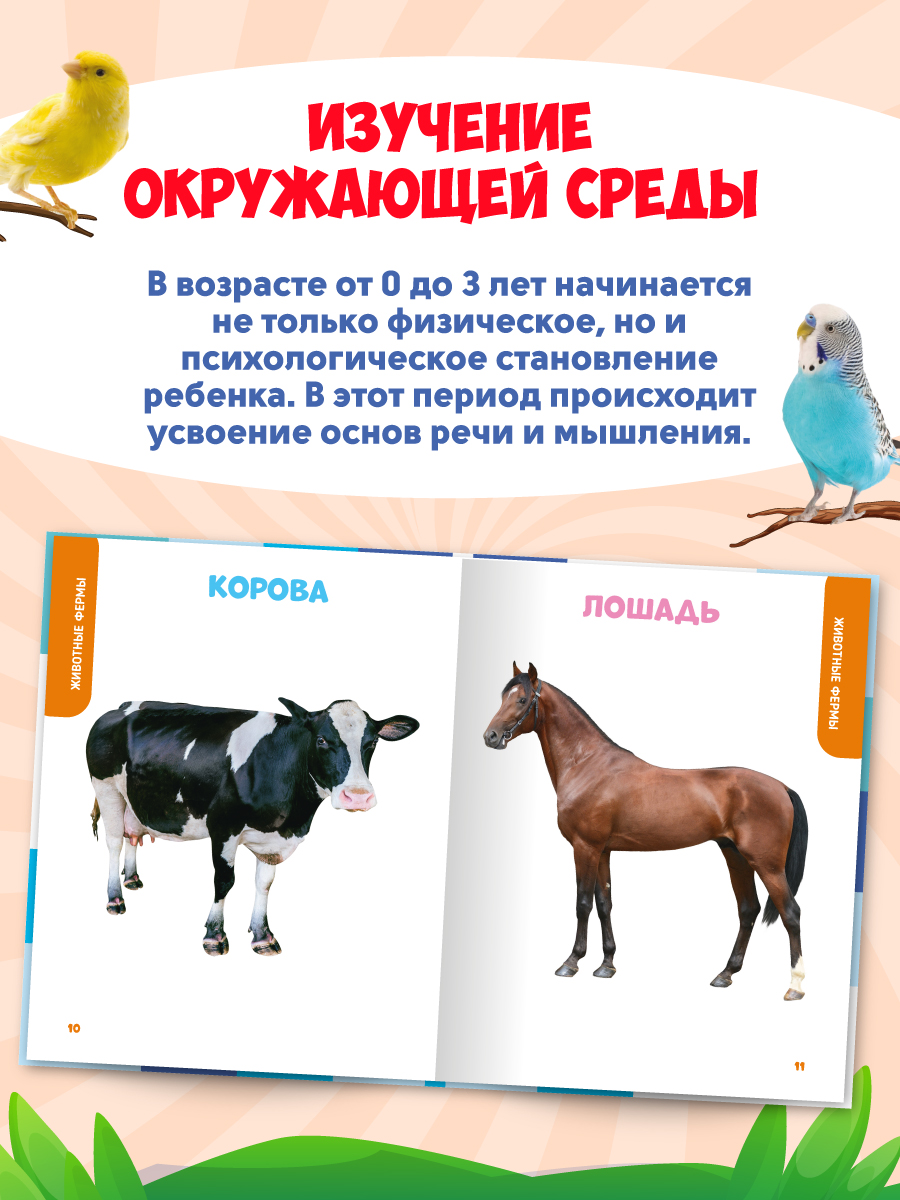 Книга Проф-Пресс Главная книга малыша. Животные нашей планеты - фото 4