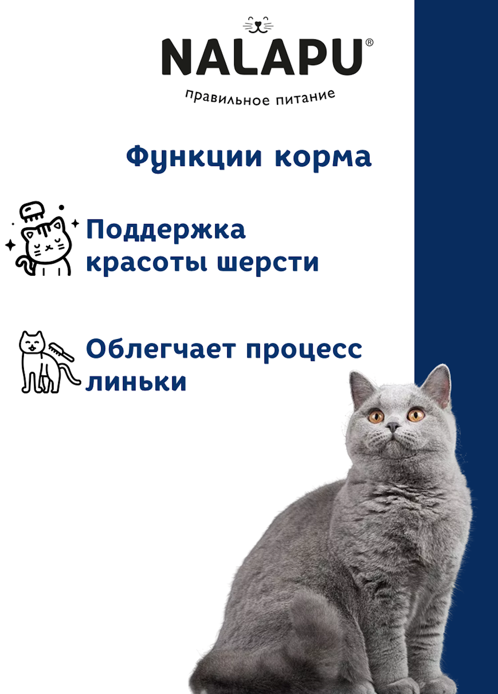 Корм для кошек NALAPU Beauty с мясом форели в соусе 77г - фото 4