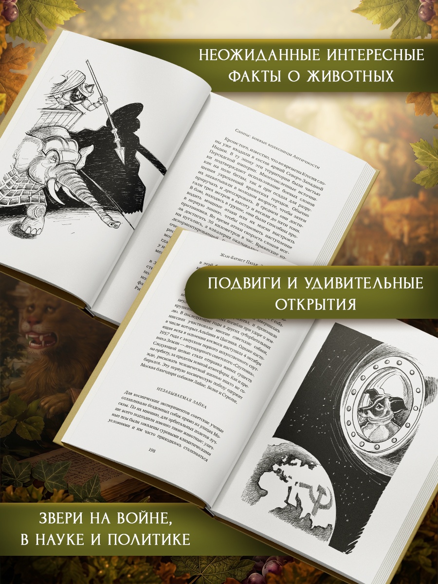 Книга КОЛИБРИ ИстИнт Патье Ж Шону Э Животные Герои истории - фото 5