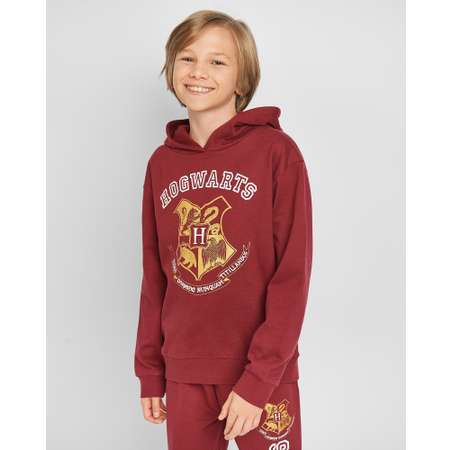 Худи Harry Potter
