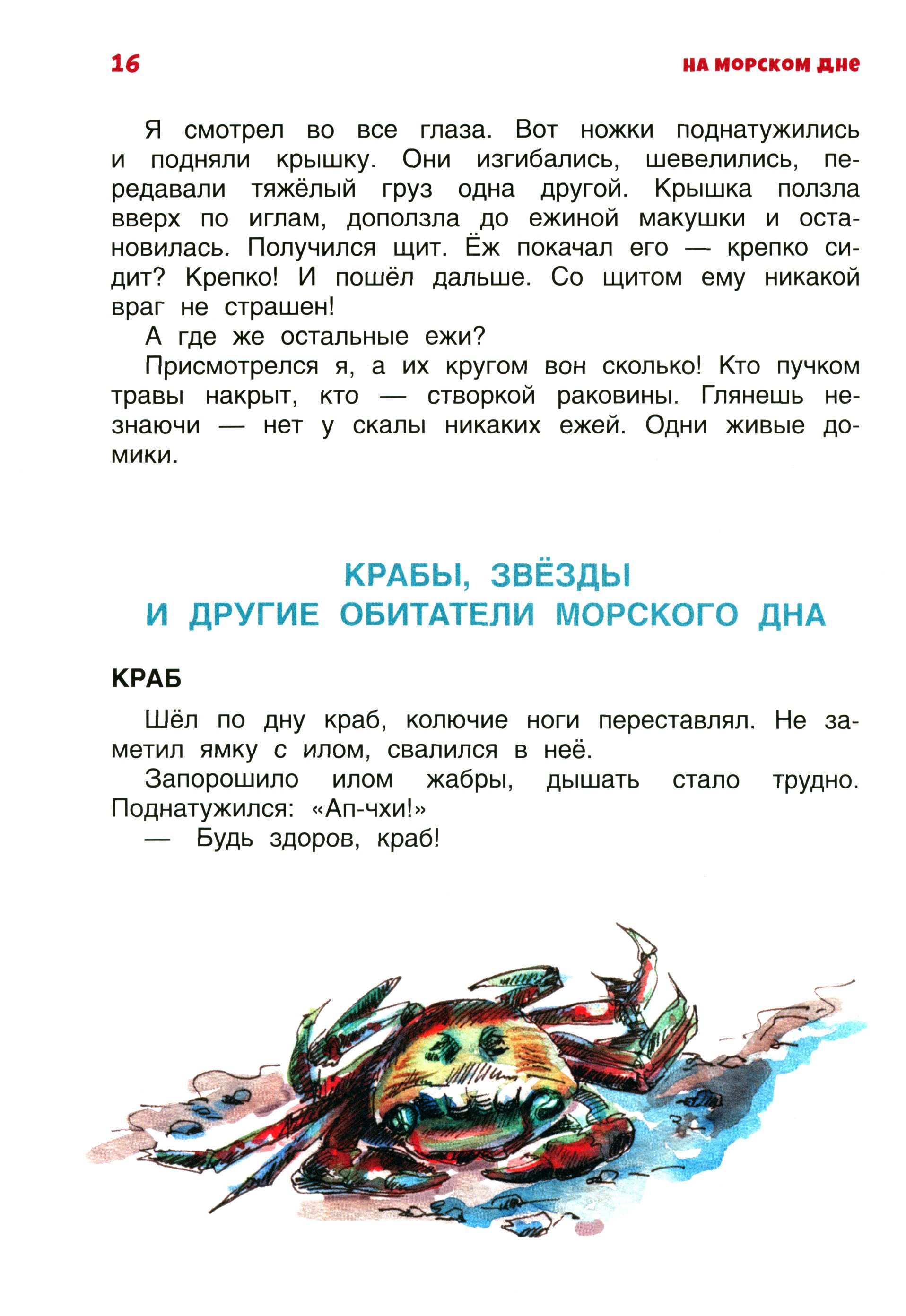 Книга Качели В мире дельфина и осьминога - фото 8