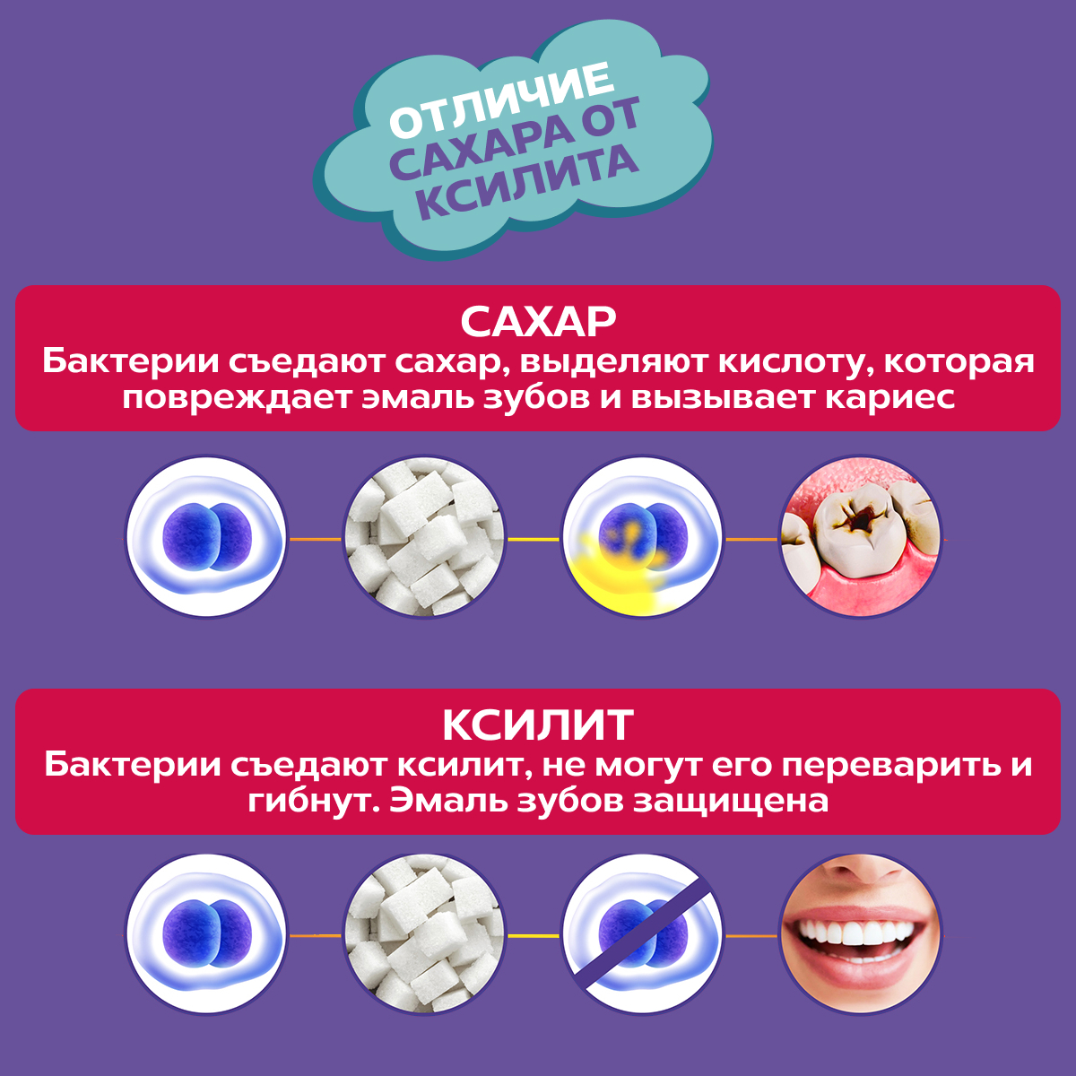 Чупа-чупсы PARU черника + клубника 10 шт - фото 3