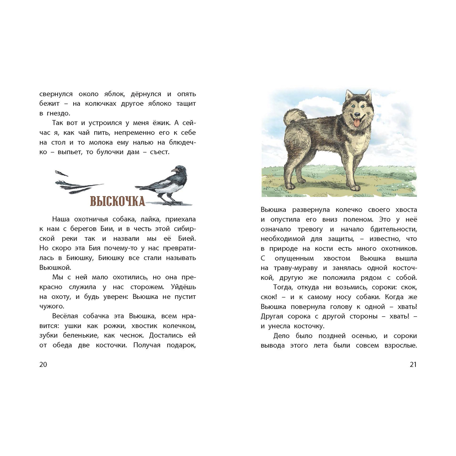 Комплект книг ЭНАС-КНИГА для первоклассника 3шт. - фото 13